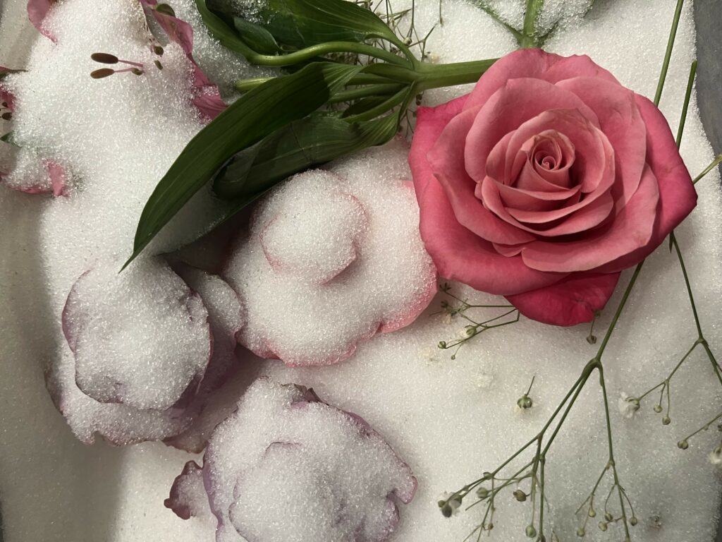 Røde og lilla roser under tørkeprosess ved bruk av silica hos Evig Min, sammen med grønne blader og små hvite blomster. Bildet viser hvordan blomster blir forsiktig bevart for å brukes i evighetsminner støpt i resin.